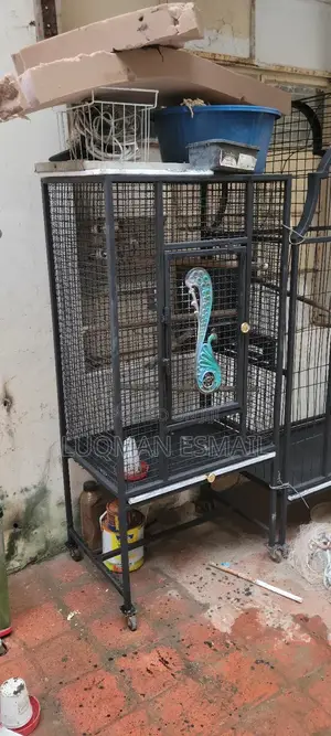 Big Cage Available
