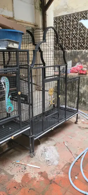 Big Cage Available