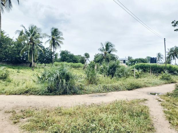 Kinondo Ganja La Simba Half Acre Land! - thumbnail 6