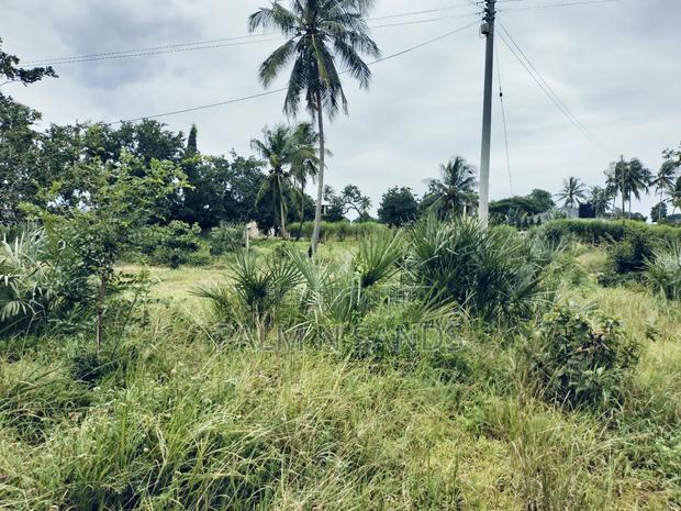 Kinondo Ganja La Simba Half Acre Land! - thumbnail 7