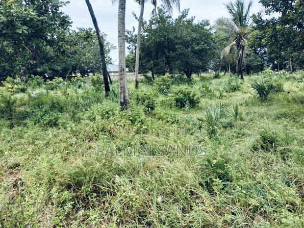 Kinondo Ganja La Simba Half Acre Land! - thumbnail 9