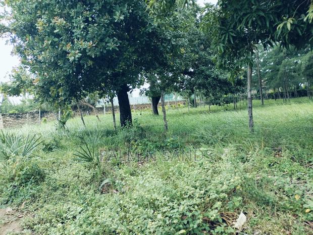 Kinondo Ganja La Simba Half Acre Land! - thumbnail 10