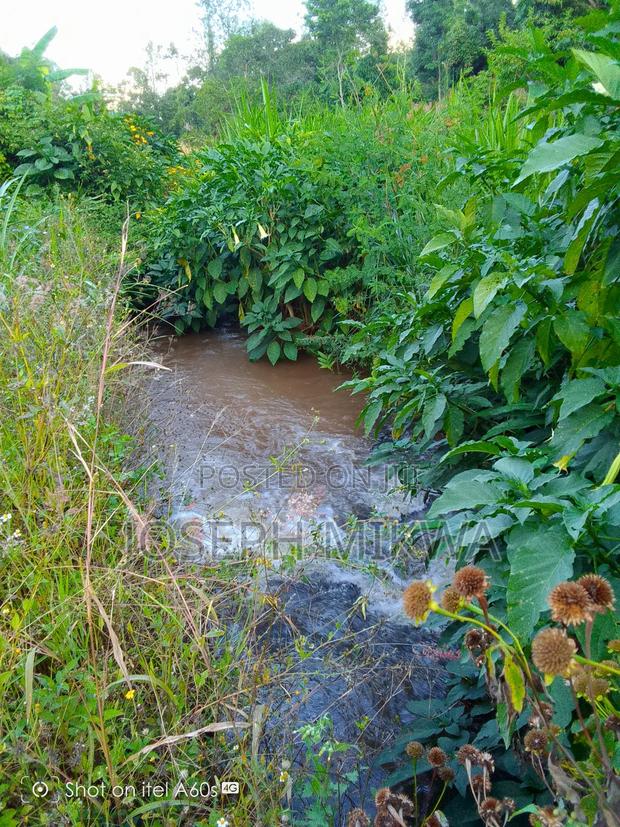 1acre Land for Sale - thumbnail 2