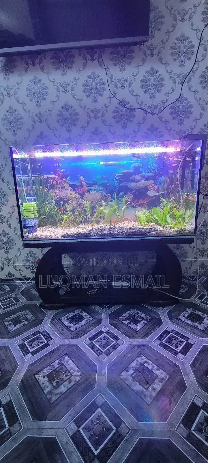 Complete Planted Aquarium