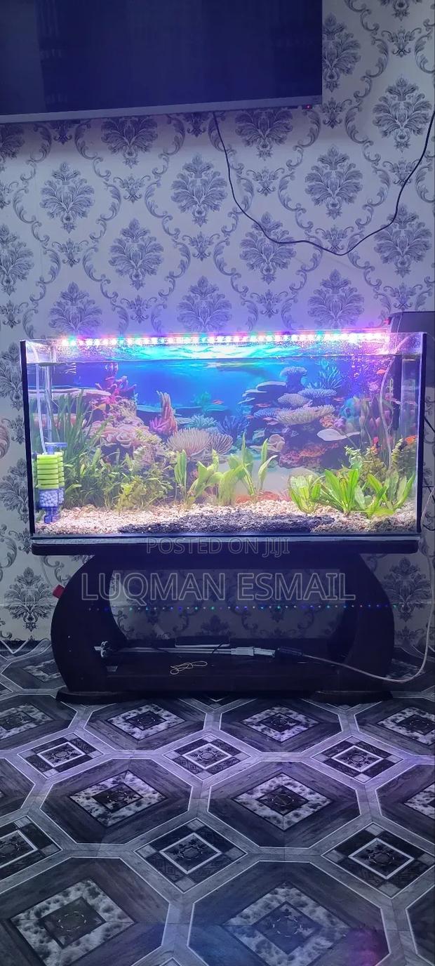 Complete Planted Aquarium - thumbnail 3