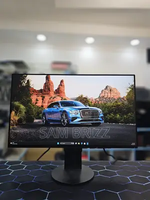 Eizo Flexcan Ev2456 24 Inch Monitor