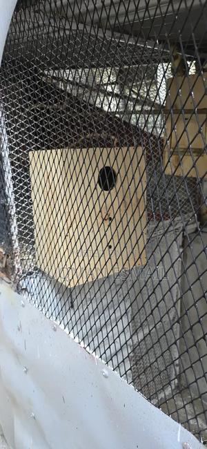 Breeding Boxes for Sale - thumbnail 2