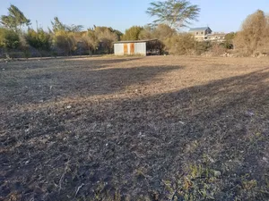 Property on Sale !