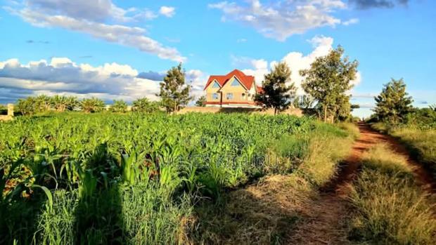 Kangema Farms 50x100 Plots.