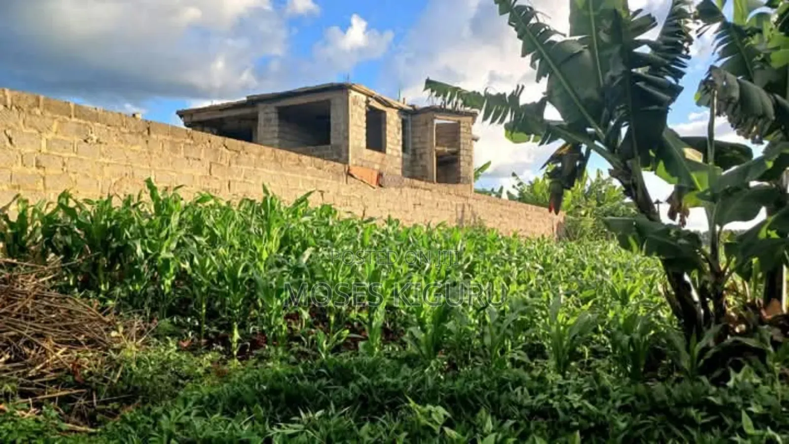 Kangema Farms 50x100 Plots.