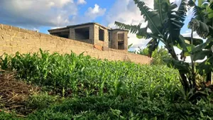 Kangema Farms 50x100 Plots.