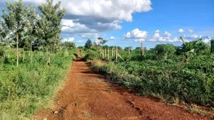 Kangema Farms 50x100 Plots.