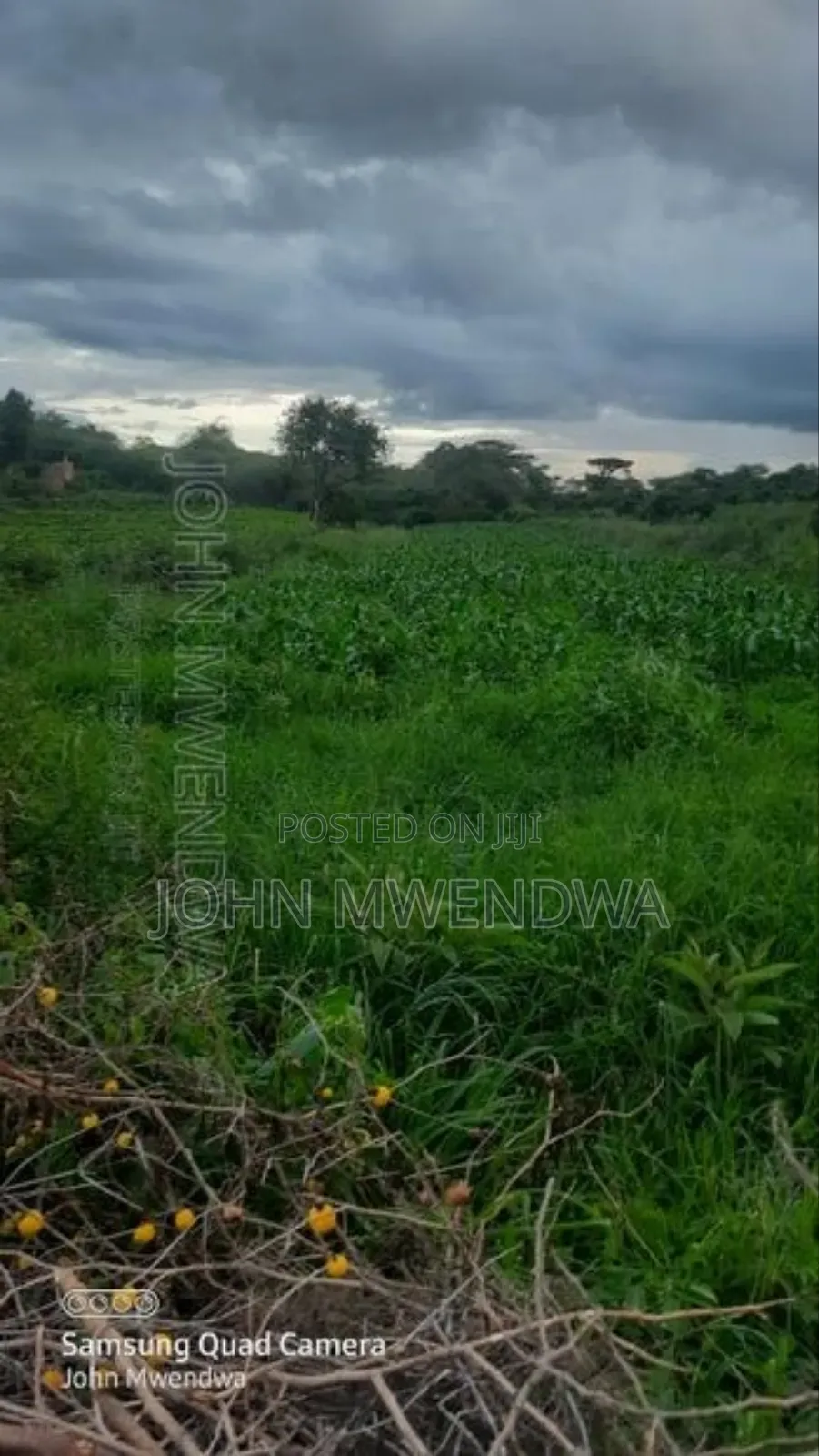 Selling 6acre Parcel of Land at Kithimani,