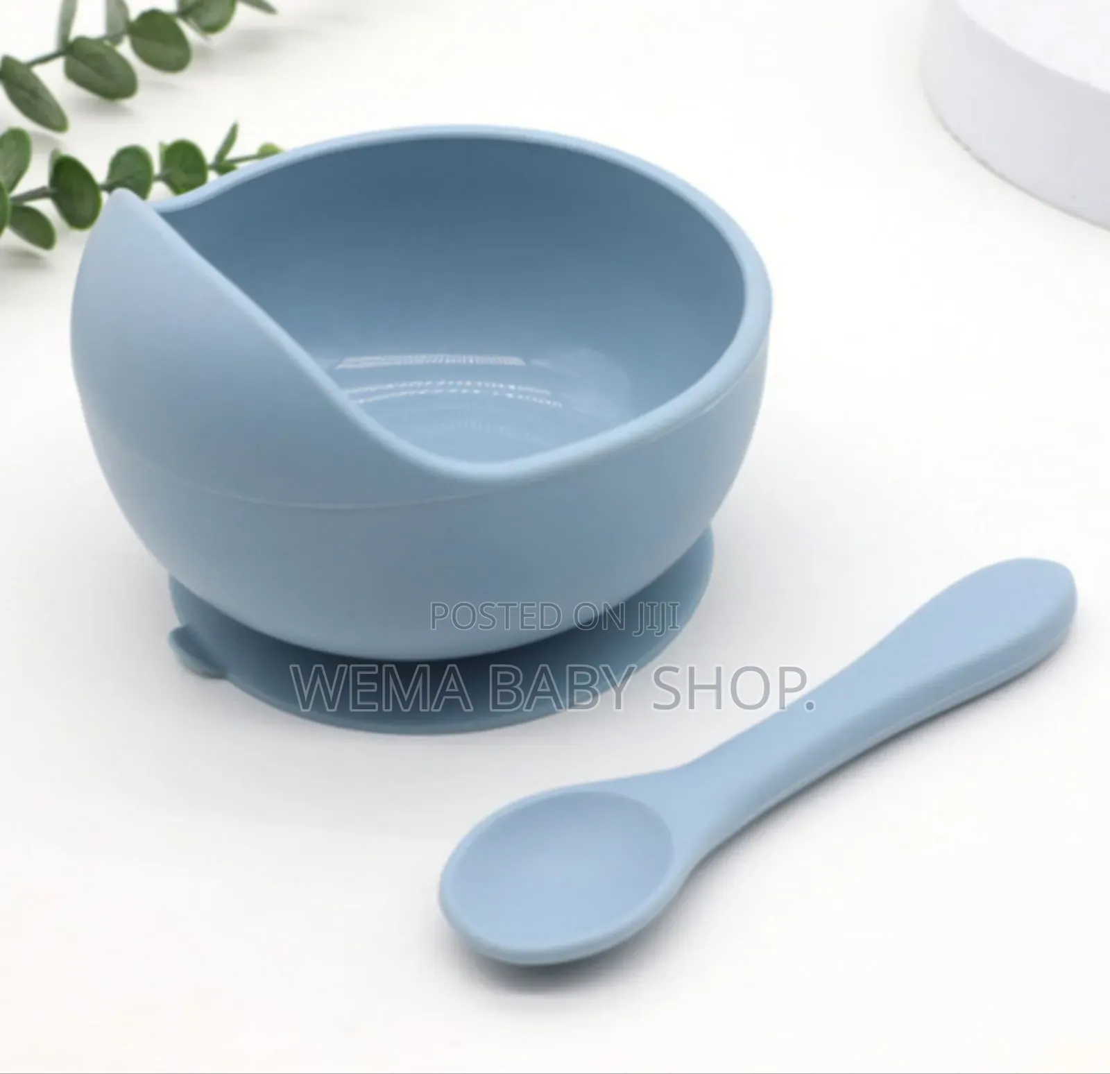 Baby Silicone Bowl With Matching Spoon