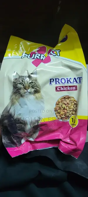Kittens Dry Food