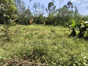 Half Acre Plot in Ngong Olkeri With 2-BDRM House Near Tarmac