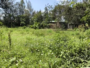 Half Acre Plot in Ngong Olkeri With 2-BDRM House Near Tarmac