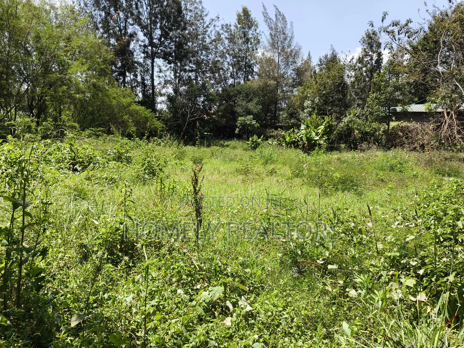 Half Acre Plot in Ngong Olkeri With 2-BDRM House Near Tarmac