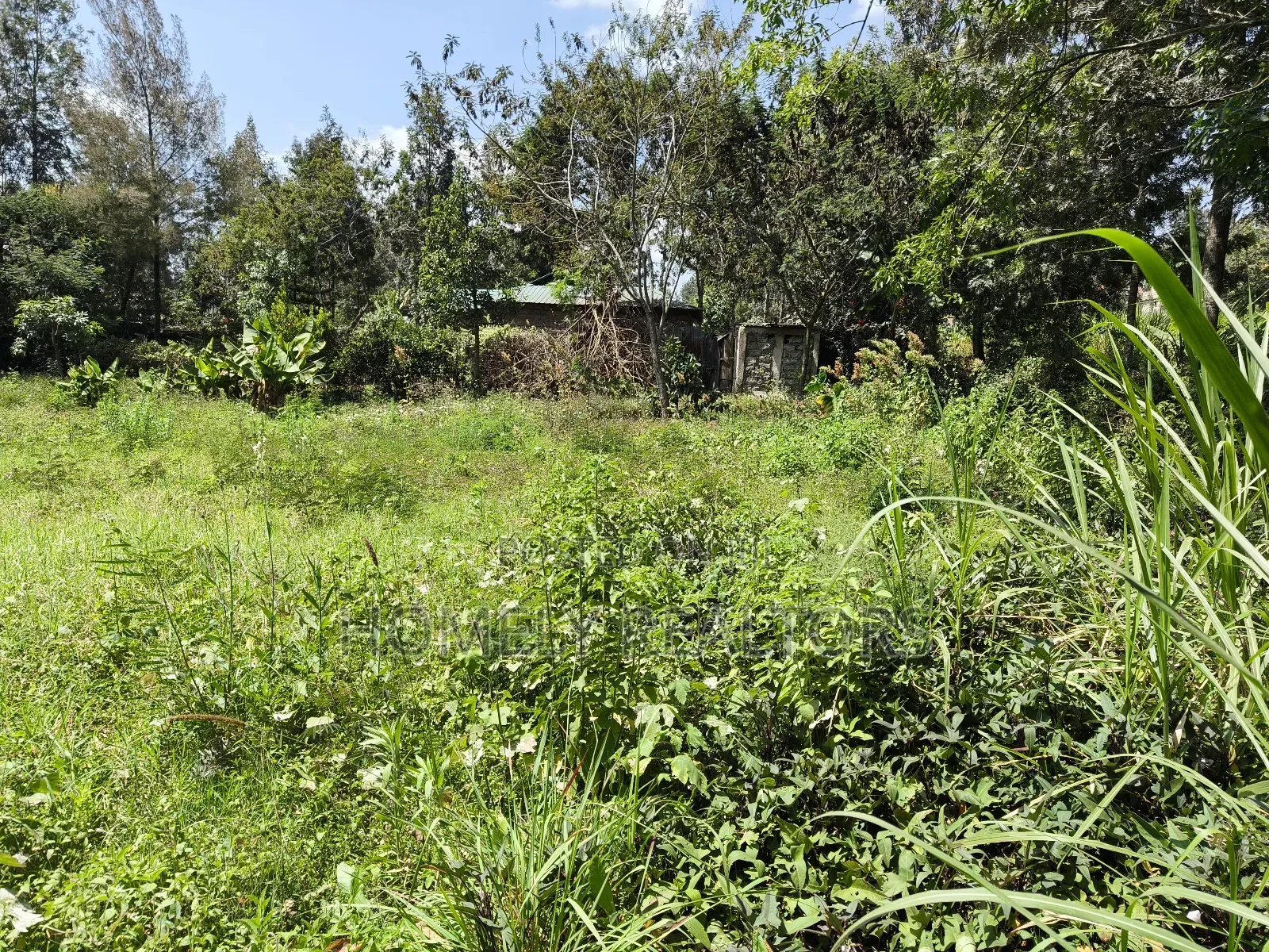 Half Acre Plot in Ngong Olkeri With 2-BDRM House Near Tarmac