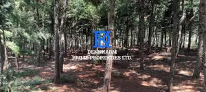 Prime Plots for Sale – Forest Groove Kikuyu, Thigio