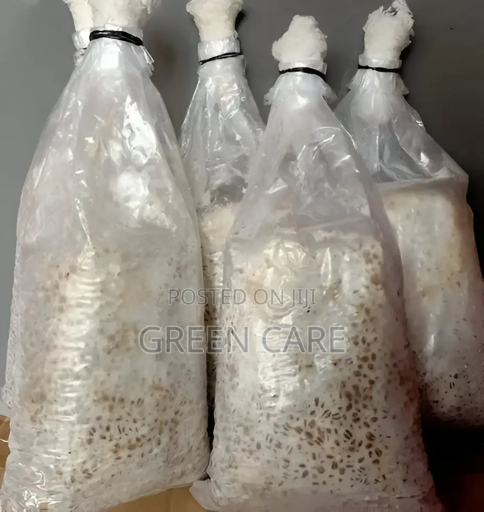 Mushroom Spawns / Seeds