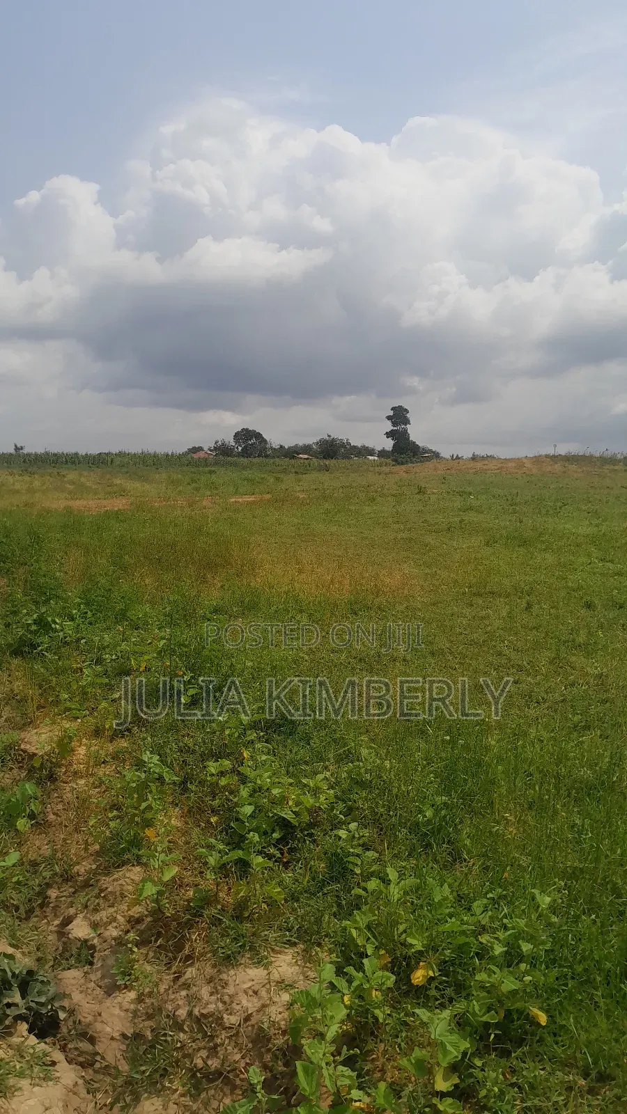 50 by 100 Property Plot for Sale Kibao Kiche/Mariakani Developed Area