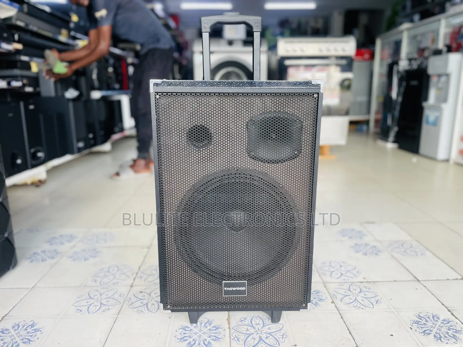 Tagwood 12” Reachargeable Speaker