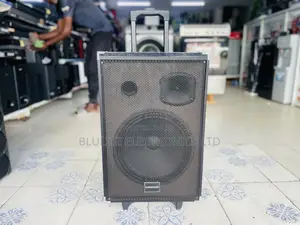 Tagwood 12” Reachargeable Speaker