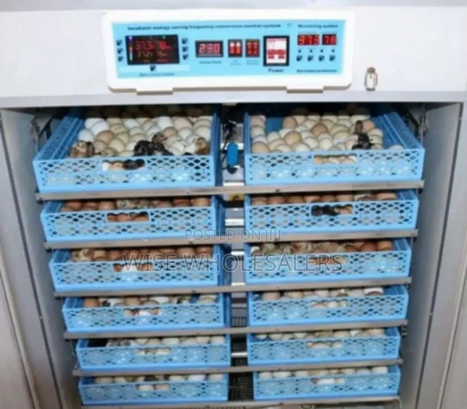 2112 Eggs Egg Incubator√° 