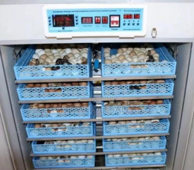 2112 Eggs Egg Incubator√° 