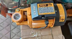 High Quality Ingco Water Pump