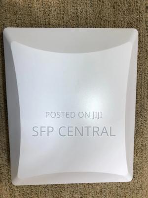 Ruckus T301outdoor Wireless Access Point - thumbnail 2