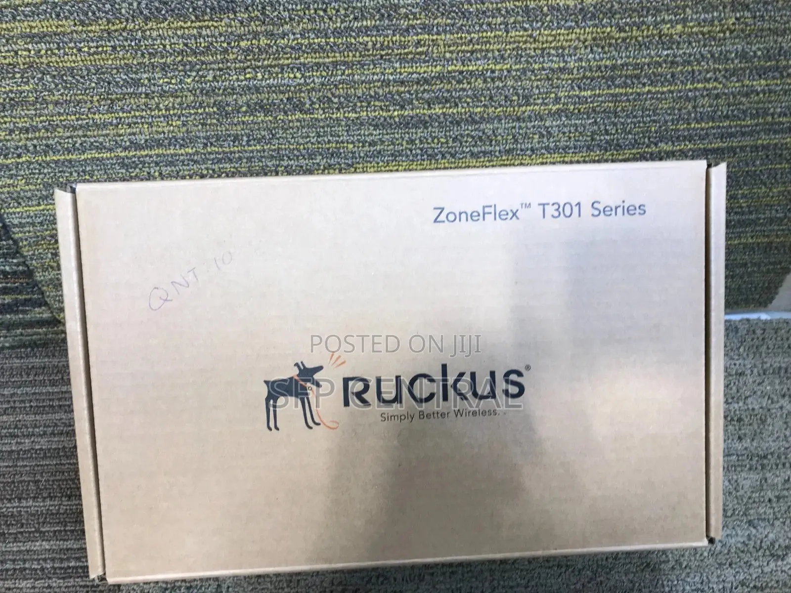 Ruckus T301outdoor Wireless Access Point