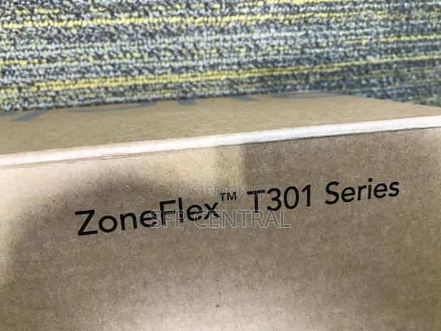 Ruckus T301outdoor Wireless Access Point - thumbnail 9