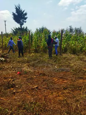 Mbomboini Prime 50x100 Residential Land