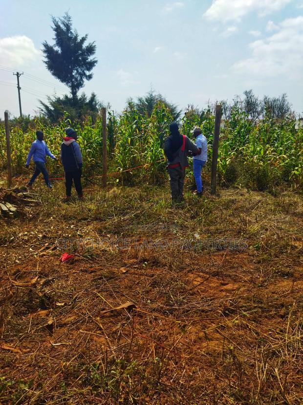 Mbomboini Prime 50x100 Residential Land
