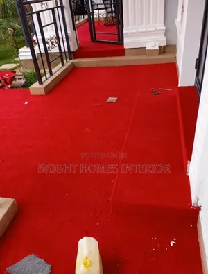 Red Carpet Good for the Cold Weather in the House