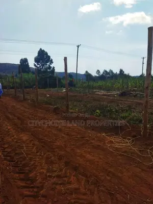 Own 50x100ft in Nachu – Deposit KSH Today!