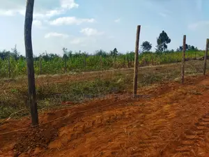 Build in Nachu! 50x100ft Plots – Water Power on-Site