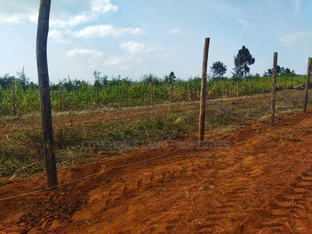 Build in Nachu! 50x100ft Plots – Water Power on-Site