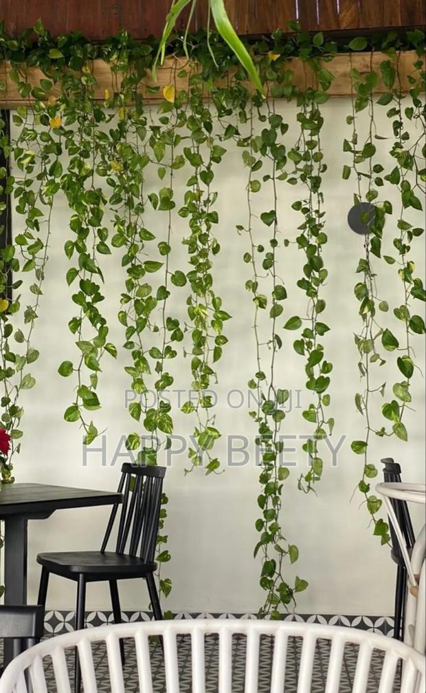 Green Decor Leaves for Your Space - thumbnail 2