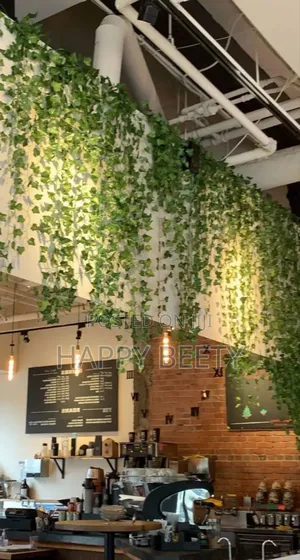 Ivy Decorative Leaves for Your Hotel/Bedroom/Living Room Etc