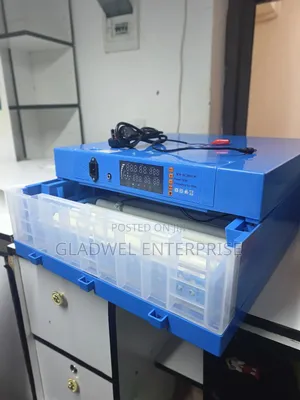 64eggs Automatic Eggs Incubator Ac/Dc Power