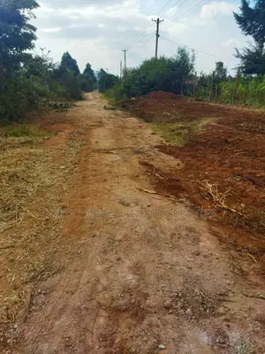 Affordable 50x100 Land in Nachu Mbomboini – Ready Title Deed