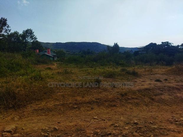 Invest in Nachu! Own 50x100 Land From Just