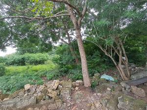 1 Acre on Tarmac Opp 5-Star Hotel - thumbnail 2