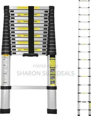 Telescoping Ladder 4.4m