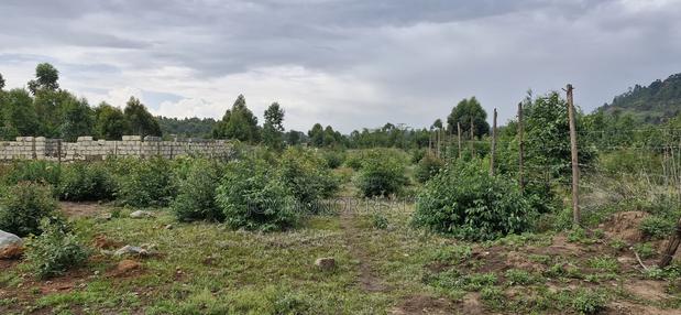 Plots for Sale - thumbnail 5