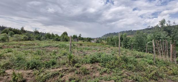 Plots for Sale - thumbnail 8