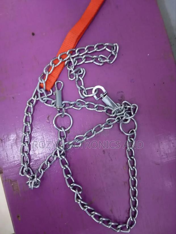 Good Quality Dog Chain - main view